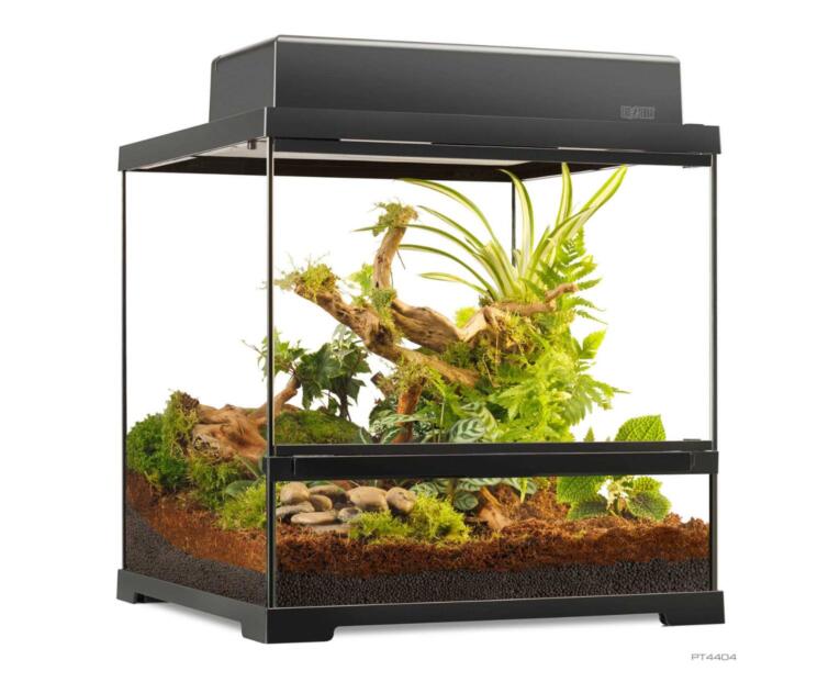 terrario-exo-terra-small-wide-45x45x45 cm-luz