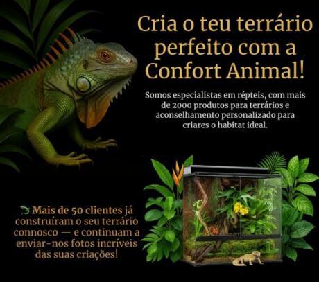 Terrário tropical para répteis com plantas naturais — Confort Animal