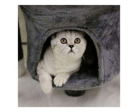 🐾 Arranhador torre para gatos: compacto, funcional e confortável O arranhador torre Jade Darklight para gatos Kerbl é a solução ideal para quem procura um espaço compacto e confortável para o seu felino. De facto, este arranhador torre para gatos combina uma estrutura estável, uma casinha acolhedora e superfícies resistentes para arranhar. Além disso, com uma altura de 96 cm, adapta-se facilmente a qualquer divisão. Assim, é perfeito para apartamentos ou espaços mais reduzidos. 🏠 Casinha confortável para descanso Por um lado, este arranhador com casinha para gatos inclui uma área fechada com cerca de 32 cm de diâmetro, ideal para relaxar. Por outro lado, proporciona um espaço seguro e acolhedor. Dessa forma, o seu gato pode descansar com total conforto. ✔ Casinha com Ø 32 cm ✔ Espaço privado ✔ Ideal para relaxar 🪵 Postes em sisal para arranhar O arranhador com sisal para gatos inclui postes com cerca de 8 cm de diâmetro, revestidos com material resistente. Além disso, permite afiar as unhas de forma natural. Assim, ajuda a proteger os móveis e promove hábitos saudáveis. ✔ Sisal resistente ✔ Mantém unhas saudáveis ✔ Protege os móveis 🧗 Estrutura estável com base ampla Este arranhador compacto para gatos inclui uma base de 70 x 35 cm, garantindo estabilidade durante o uso. Por isso, é adequado para gatos ativos. Além disso, proporciona segurança durante a brincadeira. ✔ Base estável ✔ Estrutura robusta ✔ Ideal para uso diário 🏡 Design moderno para qualquer espaço O arranhador moderno para gatos apresenta um design discreto e elegante. Assim, integra-se facilmente na decoração da casa. Além disso, é fácil de posicionar em qualquer divisão. ✔ Design elegante ✔ Fácil integração ✔ Ideal para espaços pequenos 🐱 Bem-estar e atividade diária Este móvel para gatos estimula o movimento, reduz o stress e melhora o bem-estar geral do animal. Por isso, é uma excelente escolha para o dia a dia. ✔ Estimula o exercício ✔ Reduz o stress ✔ Promove bem-estar 📌 Recomendações 👉 Descubra mais opções em arranhadores para gatos. 👉 Veja também brinquedos para gatos. Arranhador torre Jade Darklight para gatos com casinha