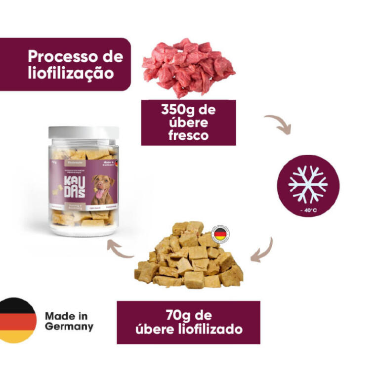 processo_kaudas-snacks-liofilizados-para-cao-ubere-de-vaca